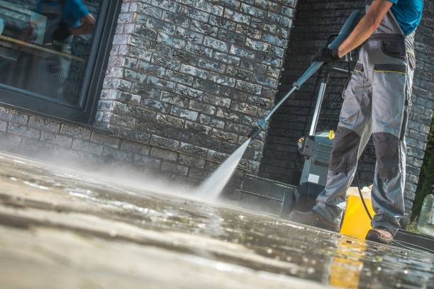Best Animal Enclosure Cleaning  in Century, FL