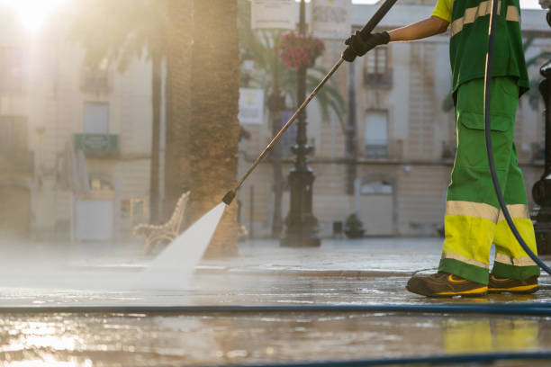 Best Roof Washing  in Century, FL